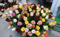 Купить классные розы в СПб цветочная база.